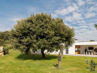 Villa Pješčana Uvala Buitenaudio-opname 11