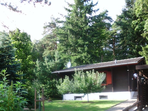 Ferienhaus Heideblockhaus "Am Wald"