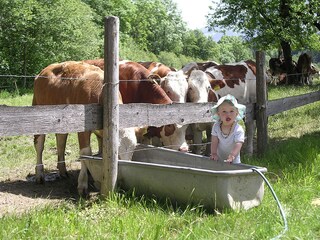 Casale Going am Wilden Kaiser Ambiente 22