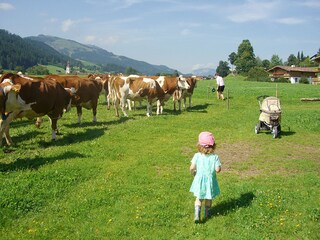 Appartamento Going am Wilden Kaiser Ambiente 16