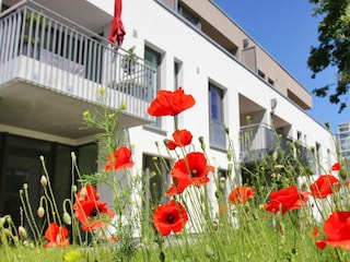 Fassade / Eingang