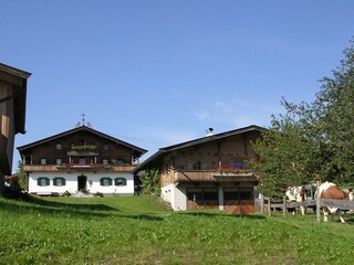 Vakantiehuis Going am Wilden Kaiser Buitenaudio-opname 2