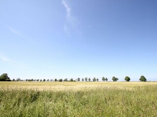 Landschaft