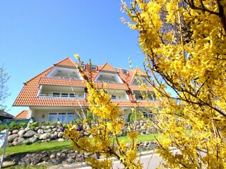 Fassade / Eingang