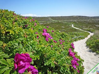 Appartamento per vacanze Wenningstedt Ambiente 17