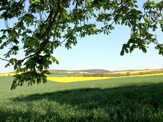 Landschaft
