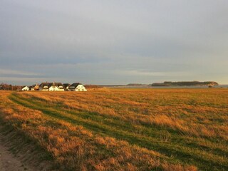 Landschaft
