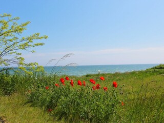 Landschaft