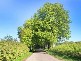 Landschaft