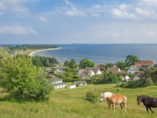 Landschaft