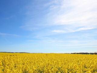 Landschaft