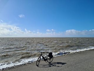 Fahrradfahren direkt an der Nordsee