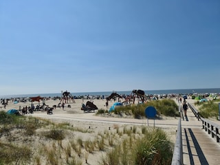 Riesiger Spielplatz am Strand von Norddeich