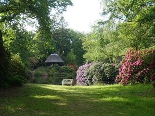 Impression vom Schlosspark Lütetsburg