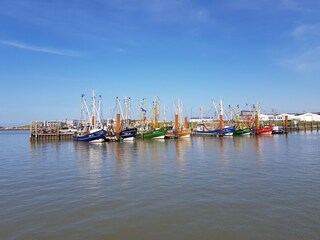 Fischkutter im Hafen von Norddeich