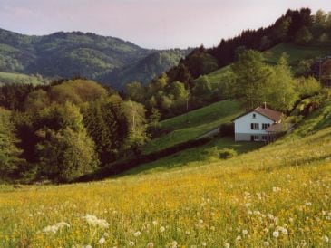 Ferienhaus Lütgert