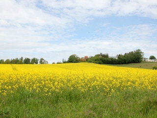 Landschaft