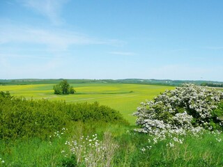 Landschaft