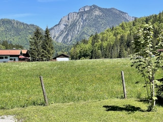 Appartamento per vacanze Reit im Winkl Registrazione all'aperto 8