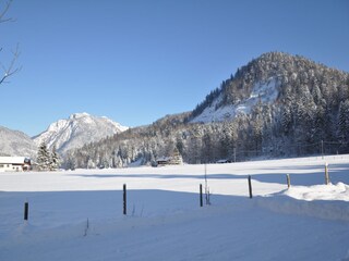 Appartamento per vacanze Reit im Winkl Ambiente 31