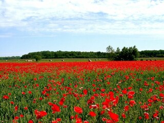 Landschaft