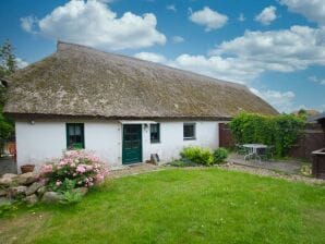 Ferienhaus Haus R: Terrasse, Garten - Wiek - image1