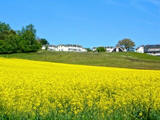 Landschaft
