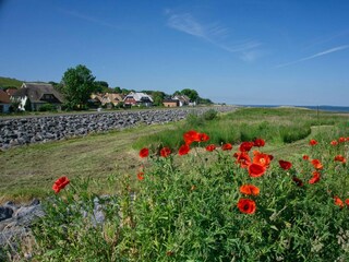 Landschaft