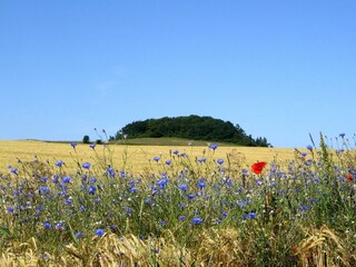 Landschaft