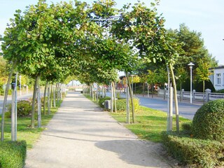 Landschaft