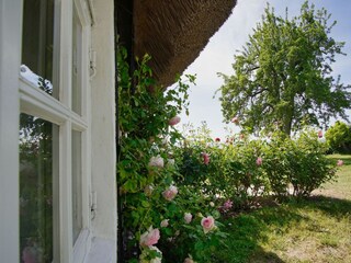 Gartenblick