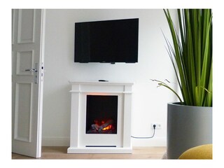 Kamin-/Ofen