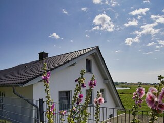 Hauptansicht