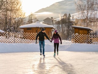 Apartment Maishofen Umgebung 29