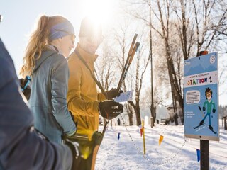 Appartement Maishofen Environnement 24