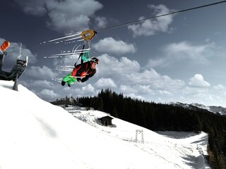 Apartment Maishofen Environment 28