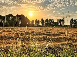 Maison de vacances Mouscron Environnement 32