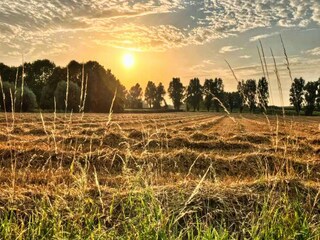 Vakantiehuis Mouscron Omgeving 33