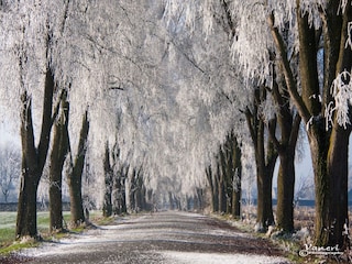 Ferienhaus Mouscron Umgebung 35