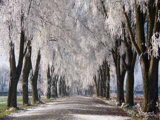 Holiday house Mouscron Environment 32