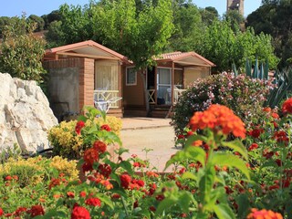 Bungalow Calella Outdoor Recording 2