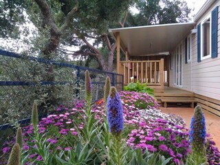 Ferienhaus Calella Außenaufnahme 8