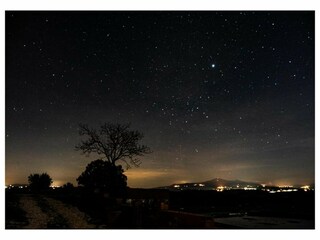 Vakantiehuis Buonconvento Omgeving 33