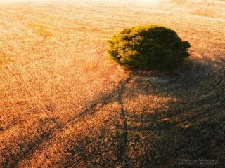 Maison de vacances Buonconvento Environnement 20