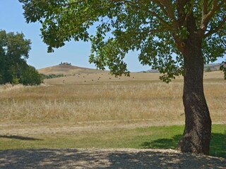 Vakantiehuis Buonconvento Omgeving 27