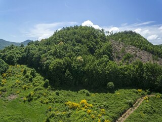 Vakantiehuis Castell'Azzara Omgeving 30