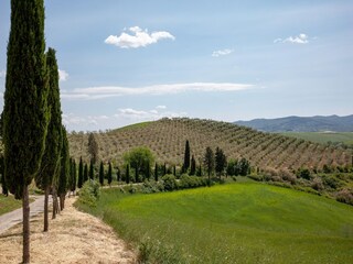 Appartement Lajatico Omgeving 34