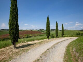 Appartamento Lajatico Ambiente 31