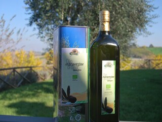 Apartment Montecarotto  34