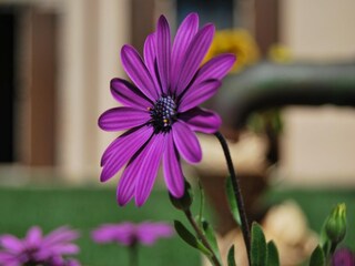 Appartamento Montecarotto  39